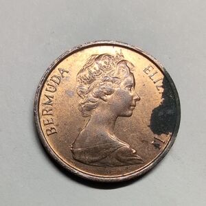 Bermuda 1981 1 Cent Wild Boar Coin Vintage